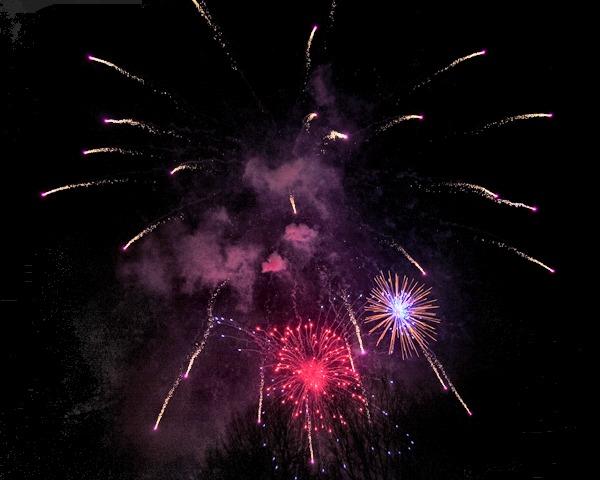 _MG_0241.jpg