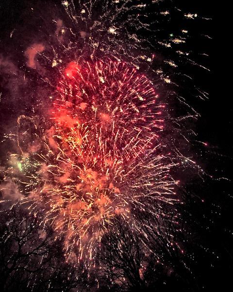 _MG_0355.jpg