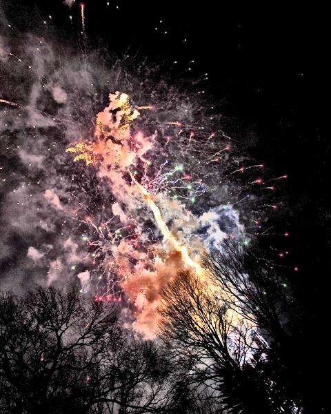 _MG_0366.jpg