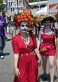 _MG_1225-01