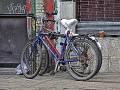 _MG_1830-01-L