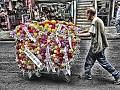 _MG_1854-01-L