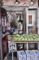 _MG_1863-01-L
