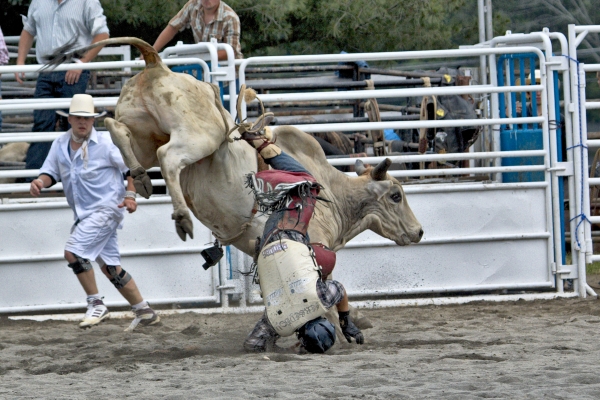 _MG_4545.jpg